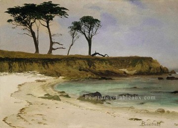 Sea Cove Albert Bierstadt Peinture à l'huile